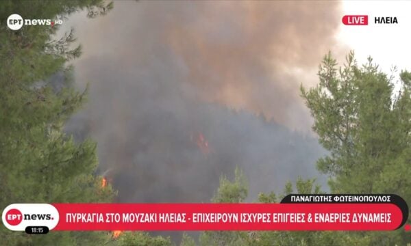 Πυρκαγιά στο Μουζάκι Ηλείας – Επιχειρούν ισχυρές επίγειες και εναέριες δυνάμεις