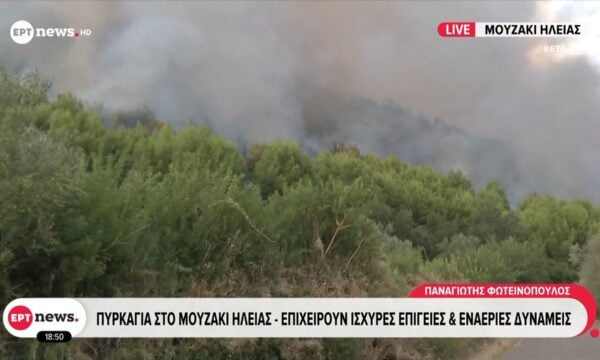 Πυρκαγιά στο Μουζάκι Ηλείας – Καίγονται δασικές εκτάσεις