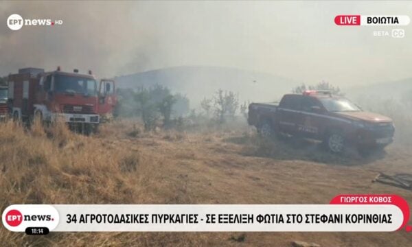 Πυρκαγιές: 271 συλλήψεις για εμπρησμό από την αρχή του έτους – Οι 242 από αμέλεια