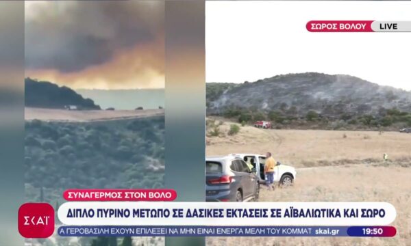 Πυρκαγιές: Διπλό μέτωπο σε δασικές εκτάσεις στον Βόλο – Δώδεκα μέτωπα σε όλη τη χώρα σε μόλις 5 ώρες