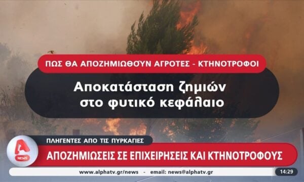 Πυρκαγιές: Ξεκινούν άμεσα αυτοψίες και αποζημιώσεις