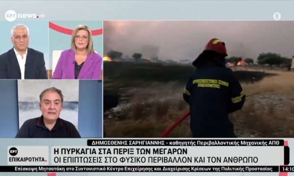 Πυρκαγιές: Οι επιπτώσεις στο φυσικό περιβάλλον και τον άνθρωπο – Δημοσθένης Σαρηγιάννης