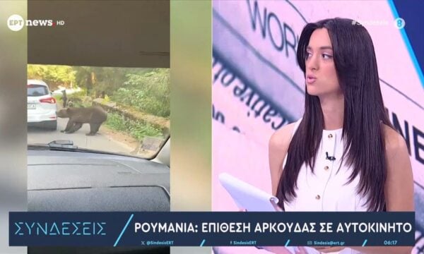 Ρουμανία: Επίθεση αρκούδας σε αυτοκίνητο