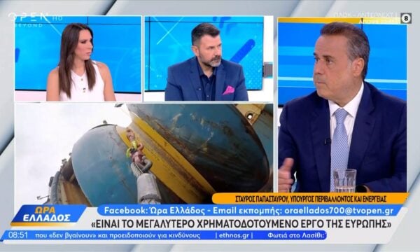 Σ. Παπασταύρου: «Θα προχωρήσουμε άμεσα στην αποκατάσταση του χαμένου δάσους»