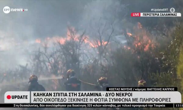 Σαλαμίνα: Από οικόπεδο ξεκίνησε η φωτιά σύμφωνα με πληροφορίες