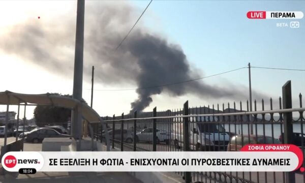 Σαλαμίνα: Σε εξέλιξη φωτιά – Ενισχύονται οι πυροσβεστικές δυνάμεις