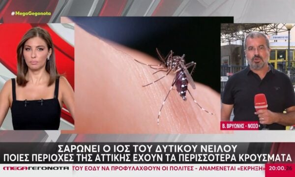 Σαρώνει την Αττική ο ιός του Δυτικού Νείλου – Διπλασιάστηκαν τα κρούσματα