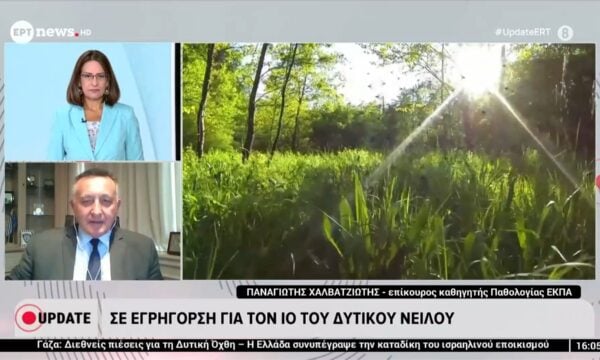 Σε εγρήγορση για τον ιό του Δυτικού Νείλου: Ο επίκουρος καθηγητής Παθολογίας στο ΕΚΠΑ, Παναγιώτης Χαλβατζιώτης, στο ΕΡΤnews