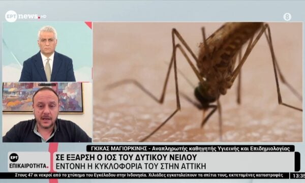 Σε έξαρση ο ιός του Δυτικού Νείλου – Ο Γκίκας Μαγιορκίνης (Αναπληρωτής Καθηγητής Υγιεινής και Επιδημιολογίας) στο ΕΡΤnews