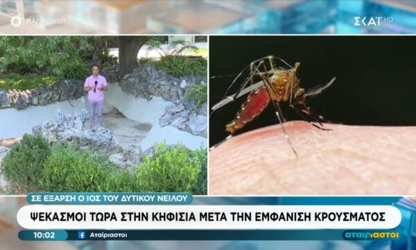 Σε έξαρση ο Ιός του Δυτικού Νείλου: Ψεκασμός στην Κηφισιά μετά την εμφάνιση κρουσμάτων