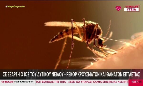 Σε έξαρση ο ιός του Δυτικού Νείλου – Ρεκόρ κρουσμάτων 7ετίας