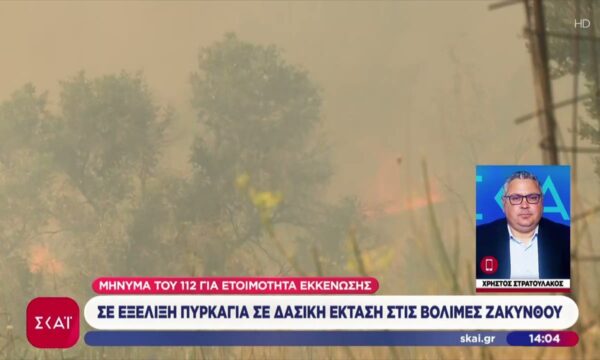 Σε εξέλιξη πυρκαγιά σε δασική έκταση στις Βολίμες Ζακύνθου