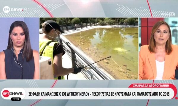 Σε φάση κλιμάκωσης ο ιός του Δυτικού Νείλου – Ρεκόρ 7ετιας σε κρούσματα και θανάτους από το 2018