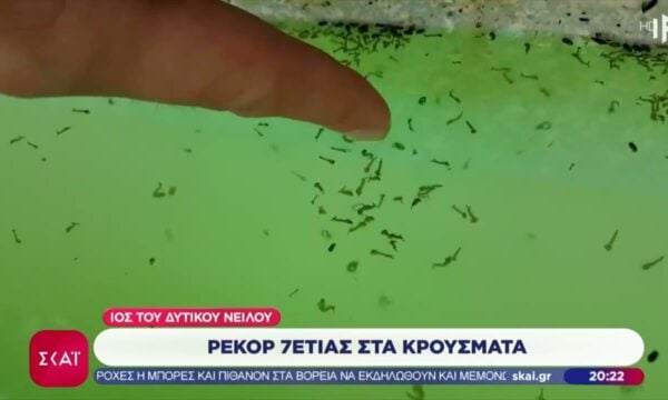 Σε φάση κλιμάκωσης ο ιός του Δυτικού Νείλου – Ρεκόρ 7ετίας στα κρούσματα