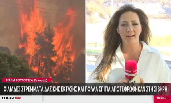 Σίβηρη Χαλκιδικής: Χιλιάδες στρέμματα δασικής έκτασης και πολλά σπίτια έγιναν στάχτη
