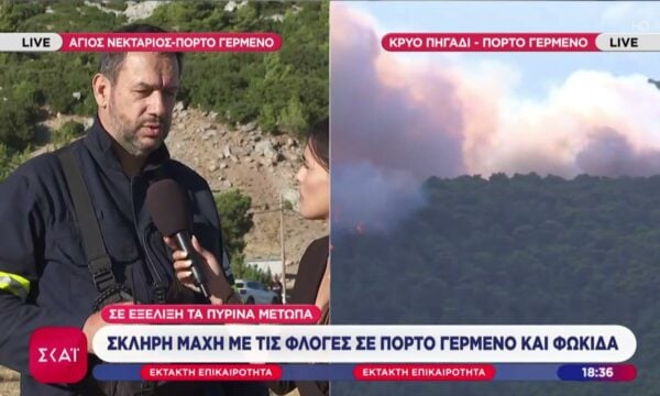 Σκληρή μάχη με τις φλόγες σε Πόρτο Γερμενό και Φωκίδα