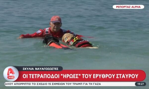 Σκυλιά ναυαγοσώστες: Οι τετράποδοι ”ήρωες” του Ερυθρού Σταυρού