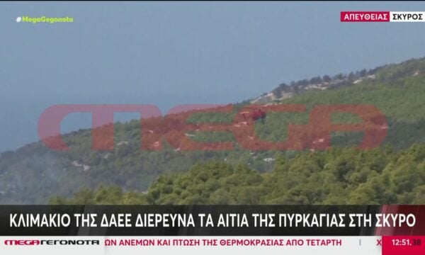 Σκύρος: Ολονύχτια η μάχη με τις φλόγες – Καταγγελία Δημάρχου για εμπρησμό