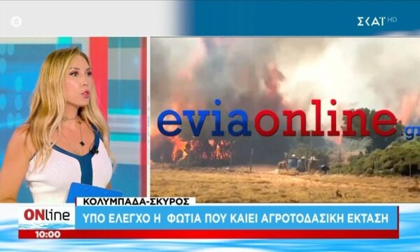 Σκύρος: Υπό έλεγχο το ενεργό πύρινο μέτωπο στα νότια του νησιού – Αιτία της πυρκαγιάς μια ιδιωτική γεωνήτρια 63χρονης γυναίκας