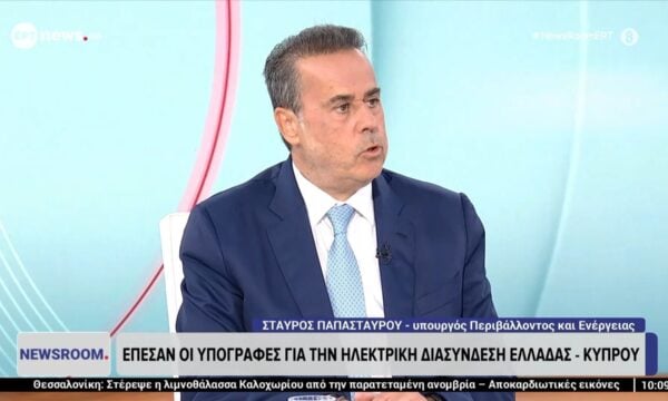 Στ. Παπασταύρου στο ΕΡΤnews για GSI: «Η υλοποίηση περνά μέσα από την Ευρώπη, όχι από την Τουρκία»