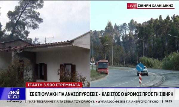 Στάχτη 3.500 στρέμματα στη Χαλκιδική: Σε επιφυλακή για αναζωπυρώσεις