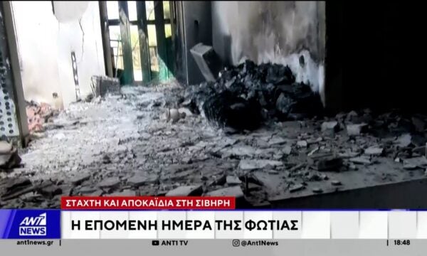 Στάχτη και αποκαΐδια στη Σίβηρη Χαλκιδικής: Η επόμενη μέρα της φωτιάς