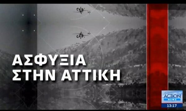 Στάχτη το 42% των δασών της Αττικής μέσα σε δέκα χρόνια