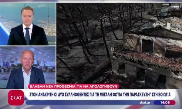Στον ανακριτή οι δύο συλληφθέντες για τη μεγάλη φωτιά την Παρασκευή στη Βοιωτία