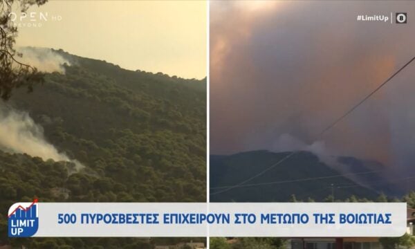Σύλληψη γυναίακας για χρήση βεγγαλικών κοντά σε θάμνο στην Ηλεία