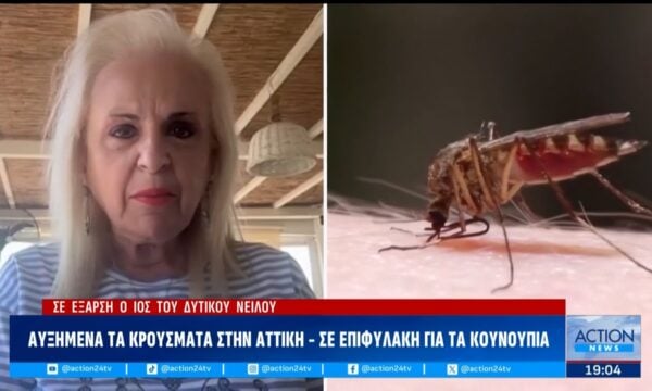 Συναγερμός για τον ιό του Δυτικού Νείλου – Στο «κόκκινο» η Αττική