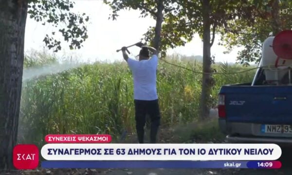 Συναγερμός σε 63 Δήμους για τον ιό του Δυτικού Νείλου – Συνεχείς ψεκασμοί