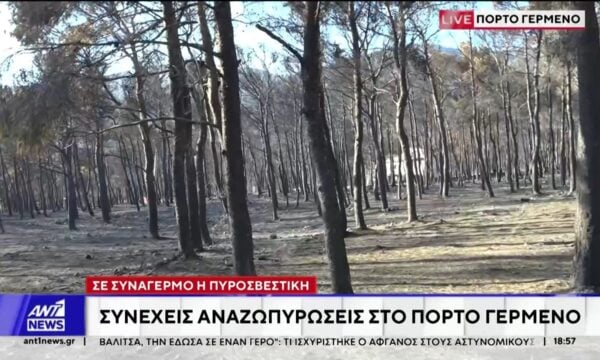 Συνεχείς αναζωπυρώσεις στο Πόρτο Γερμενό: Σε συναγερμό η Πυροσβεστική