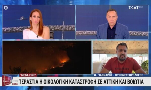 Τεράστια η οικολογική καταστροφή σε Αττική και Βοιωτία