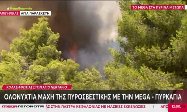 Τεράστια καταστροφή στο παρθένο πευκοδάσος στο Πόρτο Γερμενό