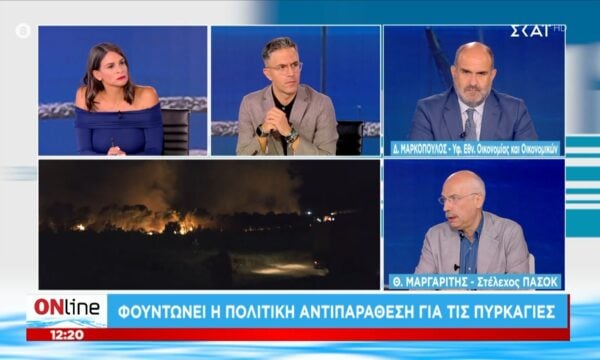 Θ. Μαργαρίτης: «Το να σώσουμε ανθρώπους είναι θετικό στοιχείο, αλλά το αποτέλεσμα είναι αρνητικό»