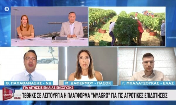 Θ. Παπαθανάσης για ΟΠΕΚΕΠΕ: Τα μέλη της ΝΔ κατηγορούνται για πλημμελήματα μικρών ποσών – Θα αθωωθούν»