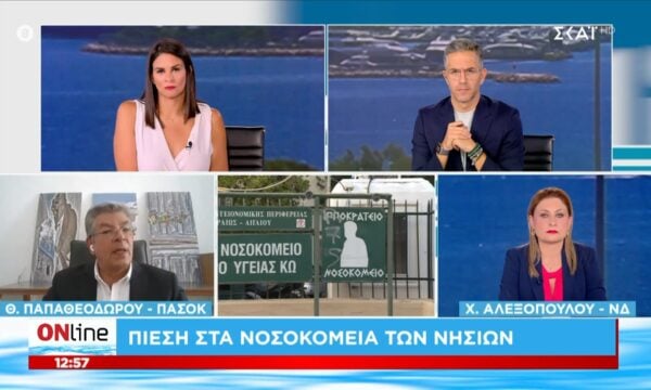 Θ. Παπαθεοδώρου: «Τα κίνητρα που δίνονται στους γιατρούς για να εργαστούν στην παραμεθόριο είναι περιστασιακά»