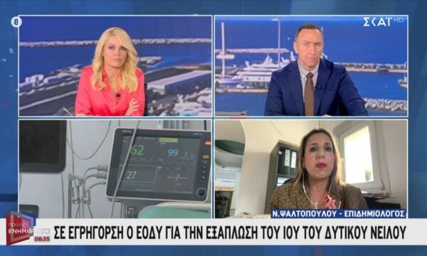 Θ. Ψαλτοπούλου για ιό του Δυτικού Νείλου: «Θα φτάσουμε σε αρκετά περισσότερους θανάτους»
