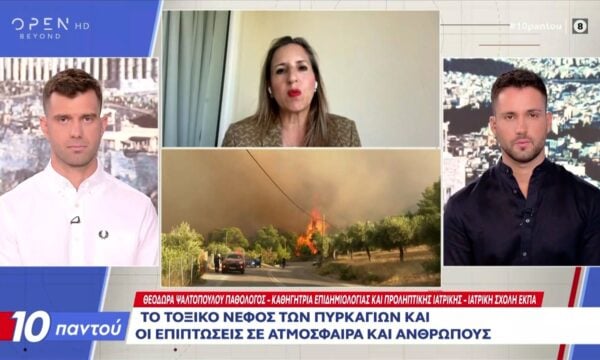 Θ.Ψαλτοπούλου: Το τοξικό νέφος των πυρκαγιών και οι επιπτώσεις σε ατμόσφαιρα και ανθρώπους