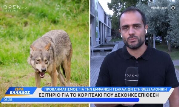 Θεσσαλονίκη: Εξιτήριο για το κοριτσάκι που δέχθηκε επίθεση από τσακάλι