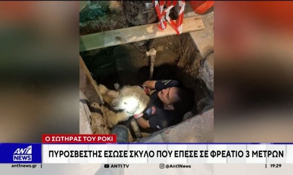 Θεσσαλονίκη: Επιχείρηση για τον απεγκλωβισμού σκύλου που έπεσε σε φρεάτιο
