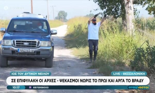 Θεσσαλονίκη: Σε επιφυλακή οι Αρχές – Ψεκασμοί για τον ιό του Δυτικού Νείλου
