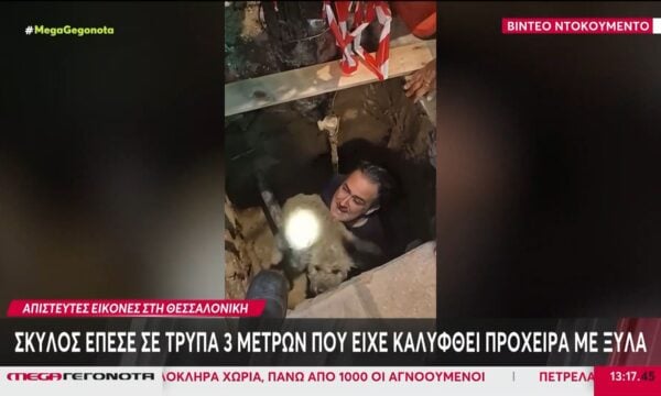 Θεσσαλονίκη: Βίντεο ντοκουμέντο με τον απεγκλωβισμό σκύλου από τρύπα βάθους 3 μέτρων