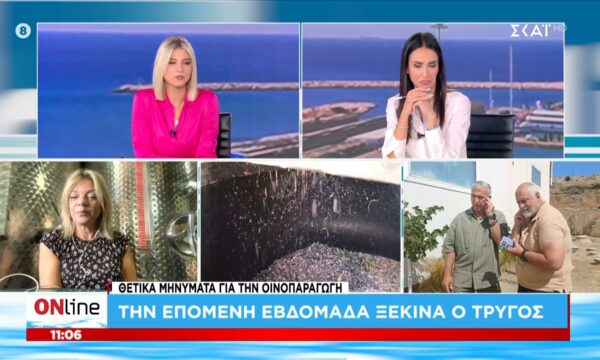 Θετικά μηνύματα για την οινοπαραγωγή: Την επόμενη εβδομάδα ξεκινά ο τρύγος