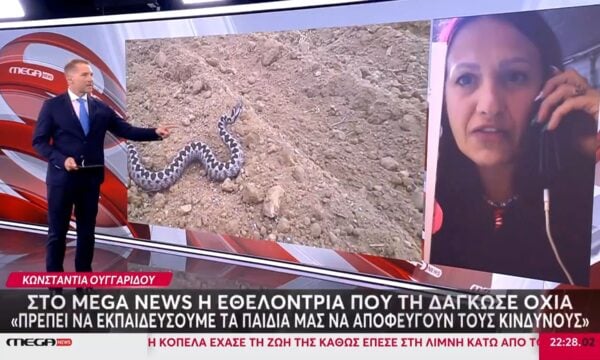 Θύμα δαγκώματος οχιάς: «Είναι το μόνο φίδι που δεν θα απομακρυνθεί όταν δει άνθρωπο»
