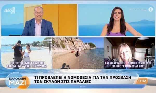Τι προβλέπει η νομοθεσία για την πρόσβαση των σκύλων στις παραλίες – Καλοκαίρι Μαζί – 13/08/2026