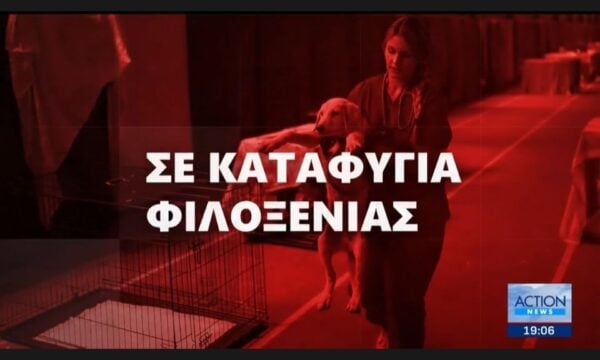 Τιμές καυσίμων: «Πονοκέφαλος» το φουλάρισμα του ρεζερβουάρ για τους αδειούχους του Αυγούστου