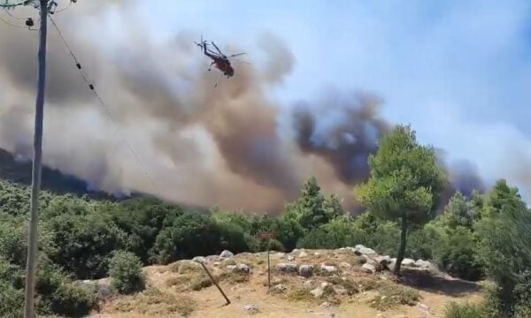 Τιτάνια μάχη των πυροσβεστών στη φωτιά στο Κρύο Πηγάδι Βοιωτίας