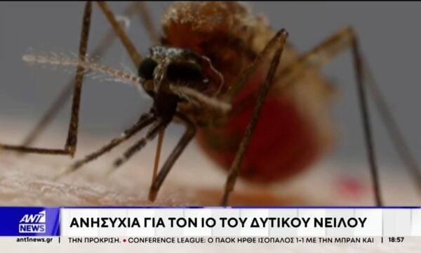 Το εκρηκτικό κοκτέιλ ζέστης και υγρασίας ευνοεί την ανάπτυξη των κουνουπιών