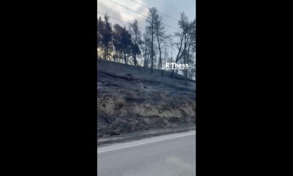 Το Ράδιο Θεσσαλονίκη στην Σίβηρη Χαλκιδικής – Οδιπορικό στα καμένα – Η επόμενη ημέρα της μεγάλης φωτιάς